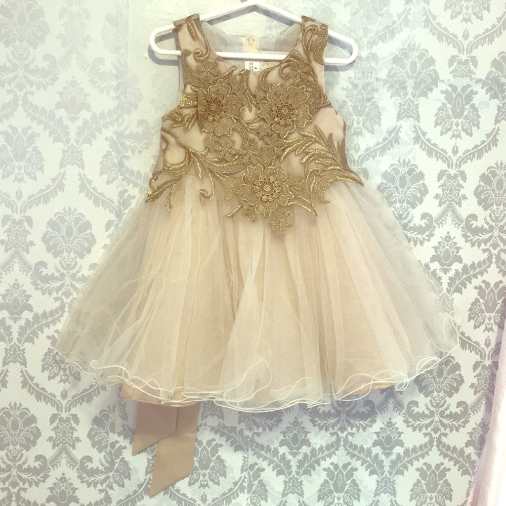 Size 4T Princess Daliana Dress